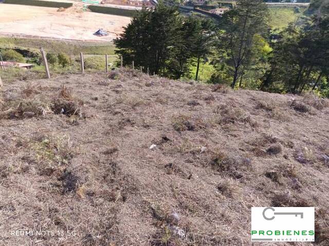#2535 - Lote para Venta en Guarne - ANT - 3