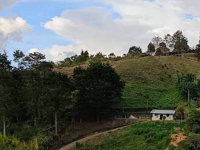 Lote para Venta en Guarne - 4