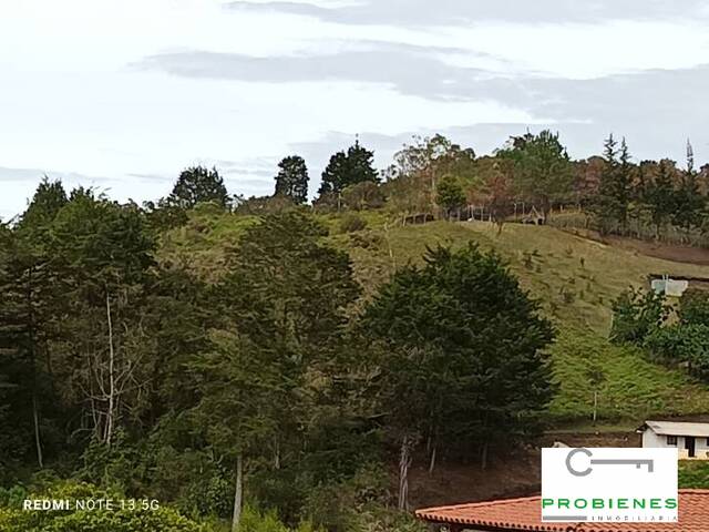 #2536 - Lote para Venta en Guarne - ANT - 3