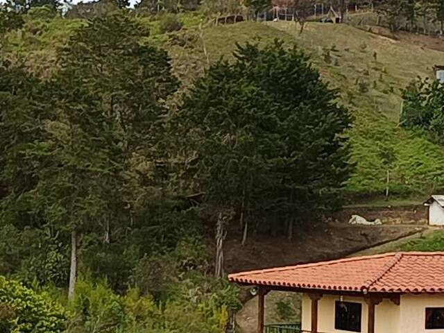 Lote para Venta en Guarne - 5